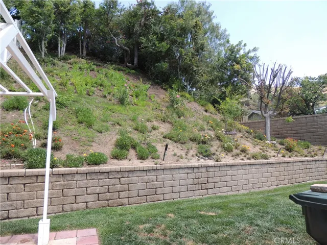 Back Yard - Hill - I
