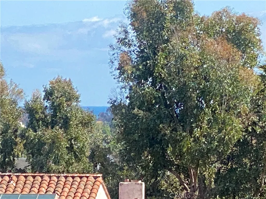 Peak Ocean View
