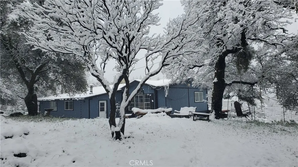 a rare snow in the winter