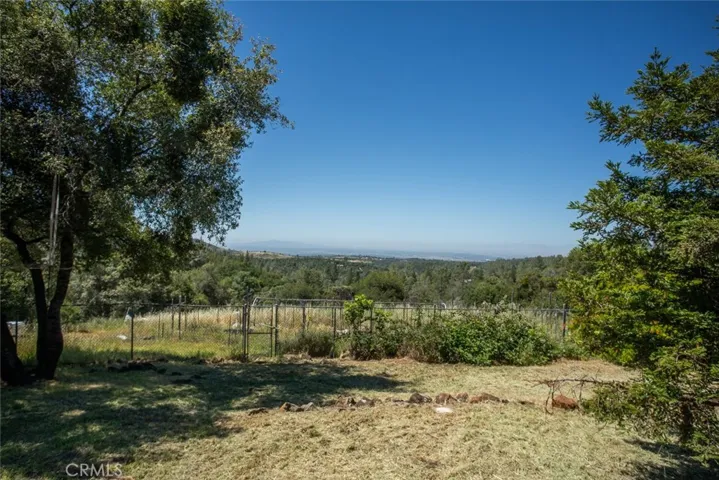 large garden area