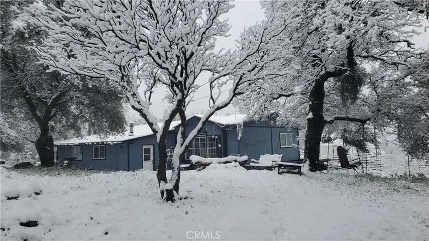 a rare snow in the winter