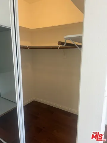 Primary BR Walk-in closet