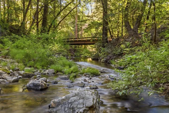 15740 Forest Hill Drive, Boulder Creek, California 95006