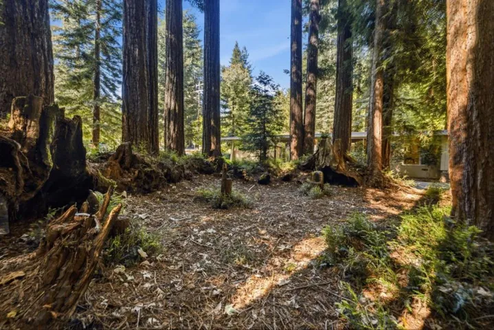 15740 Forest Hill Drive, Boulder Creek, California 95006