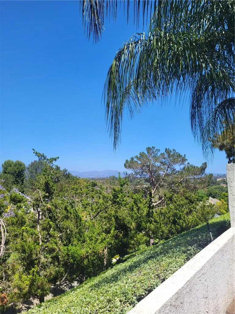 Beautiful Mt View from patio area