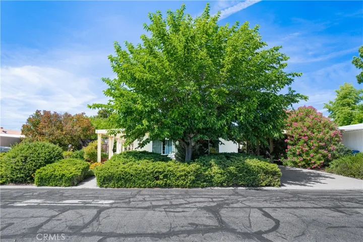 337 Lark Drive, Paso Robles, California 93446