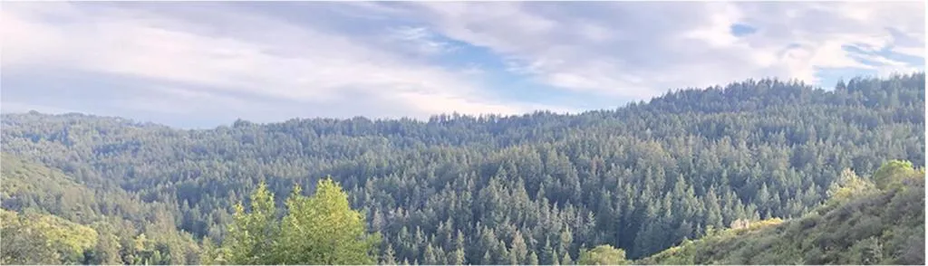 21477 Old Mine Road, Los Gatos, California 95033