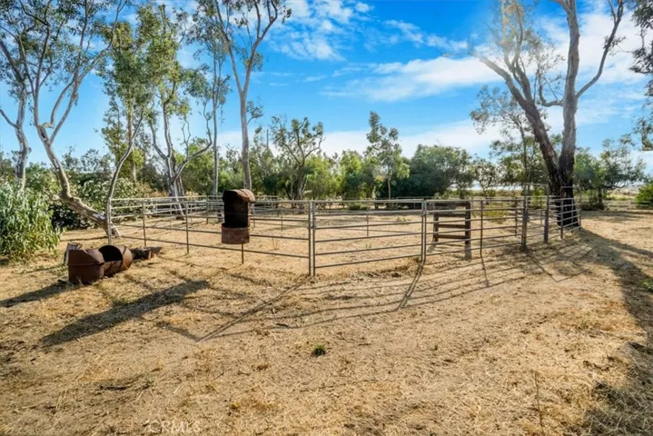 HORSE CORRAL