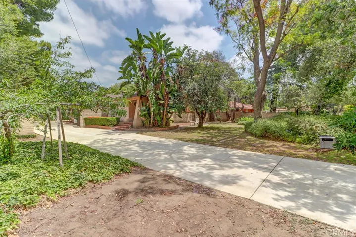 Front yard/garden