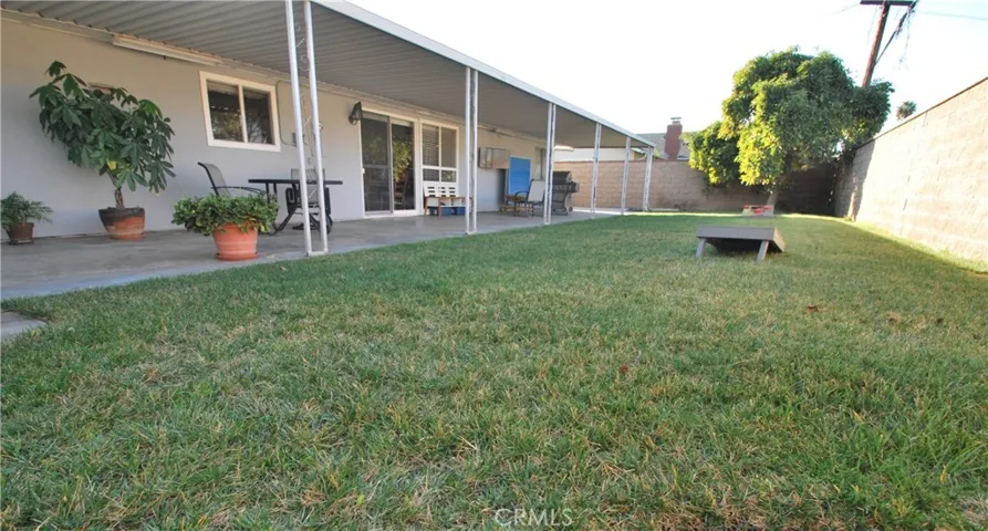 Large Backyard