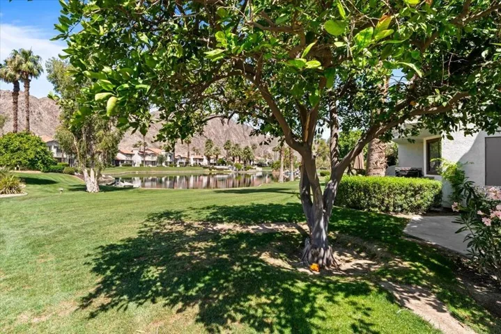 31-55459 Tanglewood-9