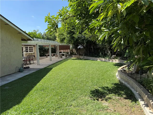 Backyard/Patio