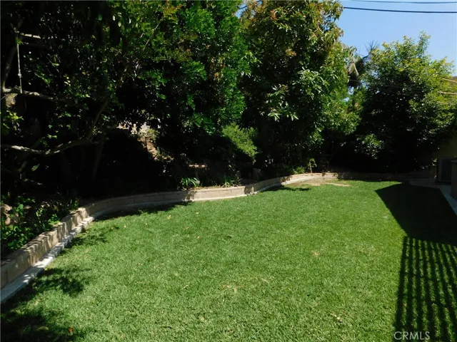 Backyard Fruit Trees