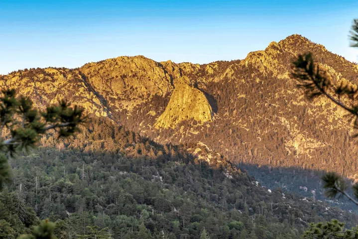 Deck View: Lily Rock
