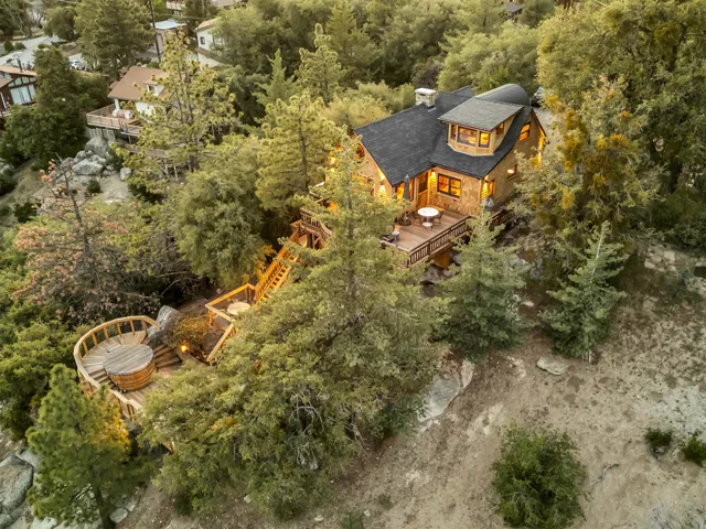 Drone View