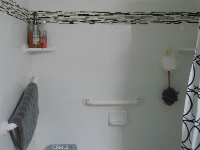 walk in shower with handicap bars in guest/hall bathroom