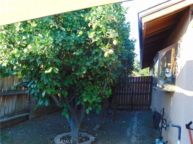 fruit trees