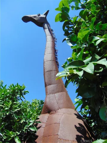 Giraffe in yard between fruit trees