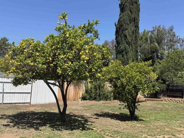 14744 Roberto Rio Road, Poway, California 92064