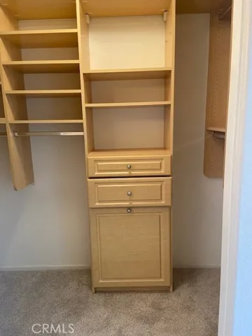 Primary Closet with Custom Organizer.