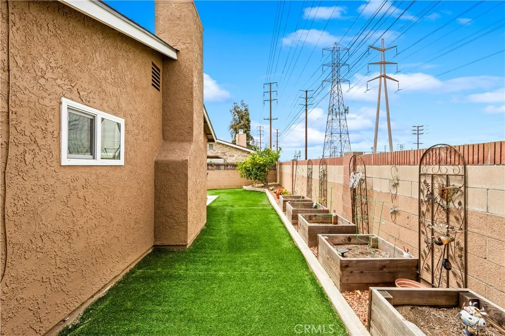 Back yard planters
