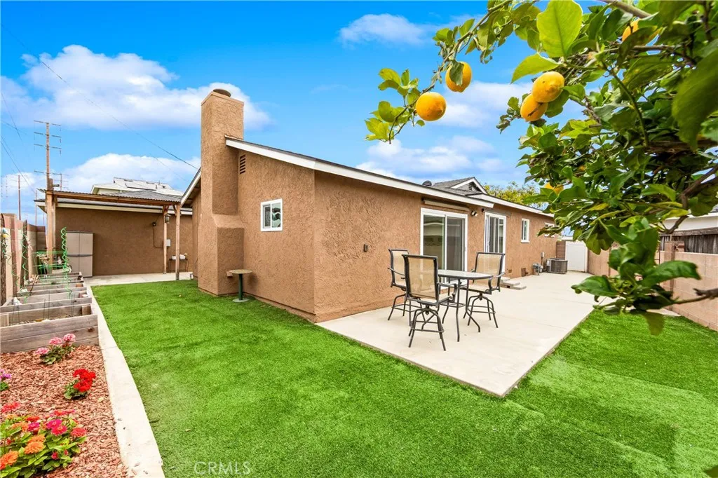 Back yard