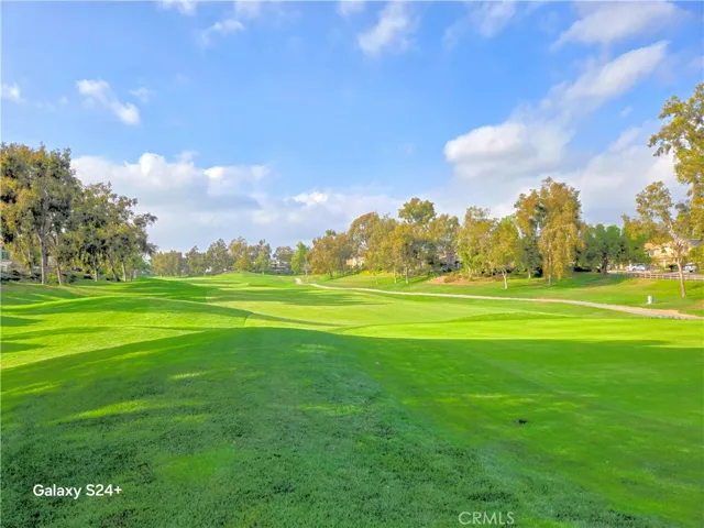 Living life on the golf course!