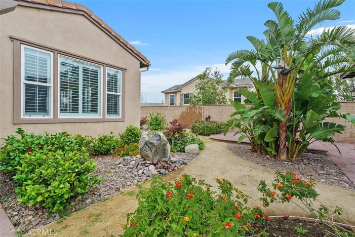 Backyard landscape