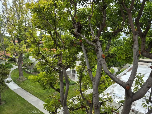 2370 W Via Mariposa 3d, Laguna Woods, California 92637