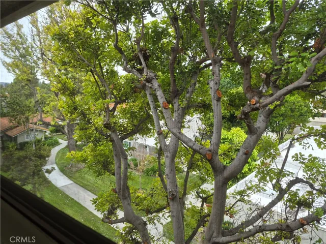 2370 W Via Mariposa 3d, Laguna Woods, California 92637