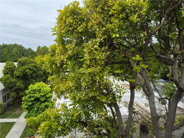2370 W Via Mariposa 3d, Laguna Woods, California 92637