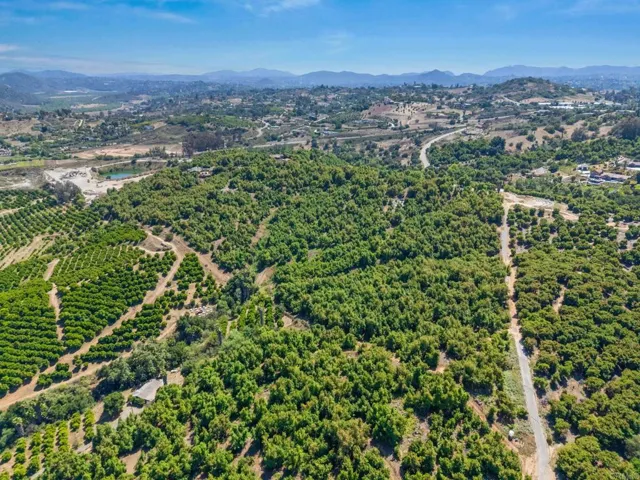 Looking south.  the grove is to the left of the N-S road on the right.  Citrus on left not included.