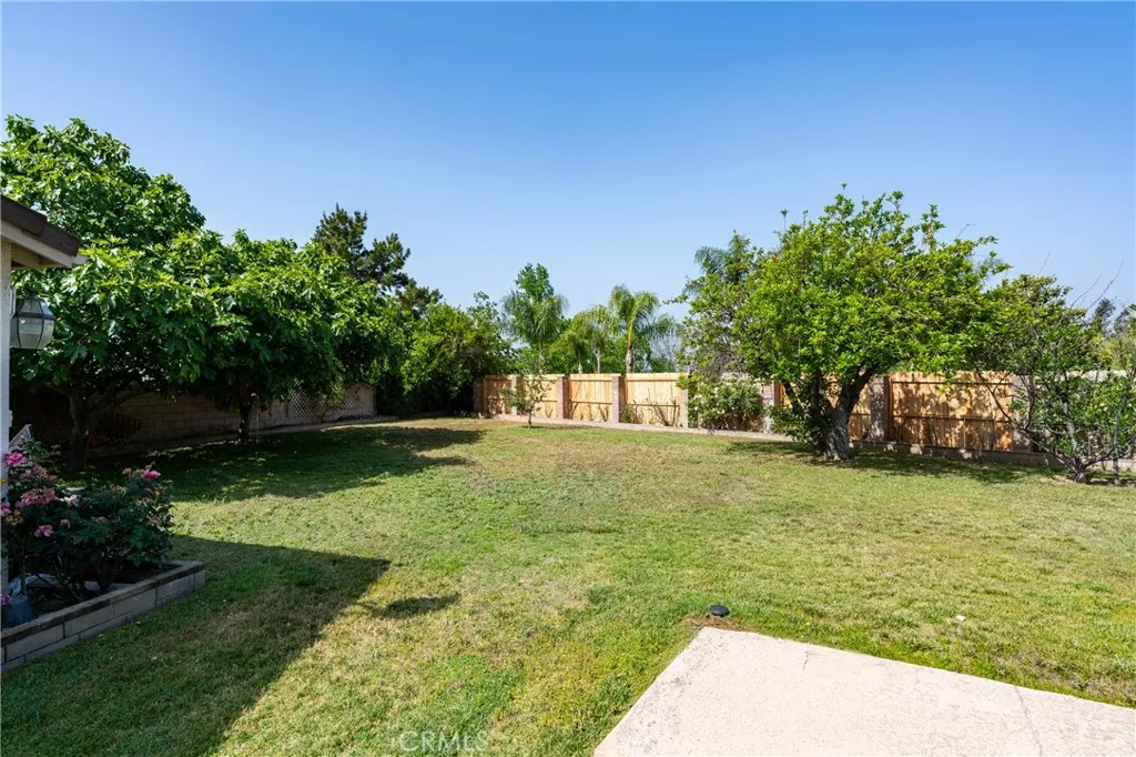 Backyard View
