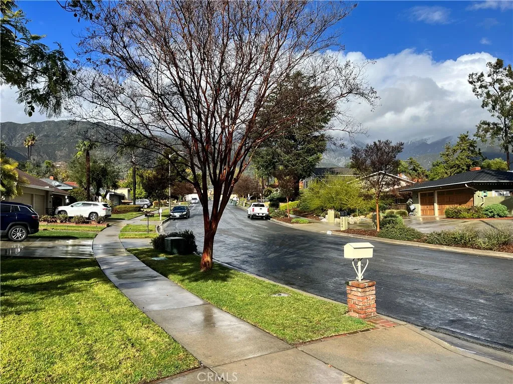 Rainy Day Front Yard