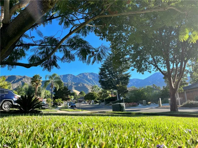 Front Yard Views