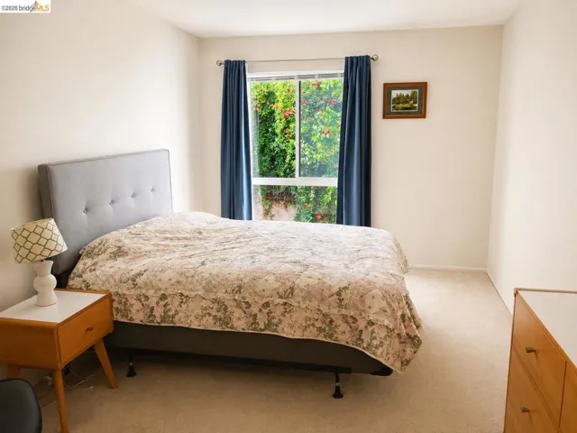 Room featuring a large window, neutral carpeting, and light-colored walls