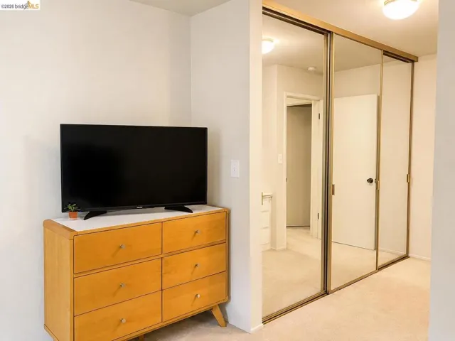 Mirrored sliding closet doors with gold-tone framing, neutral carpeting, and flush-mount ceiling lighting