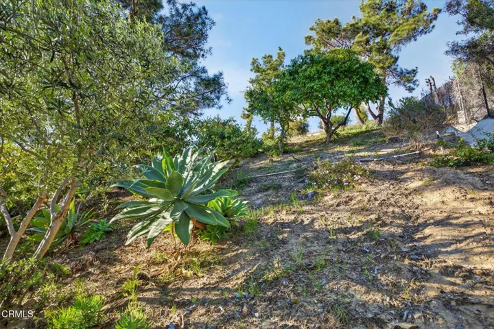 53-web-or-mls-UpmarketMedia_2023A-161