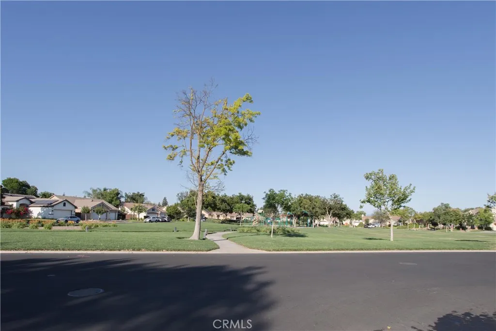 Neighborhood Park