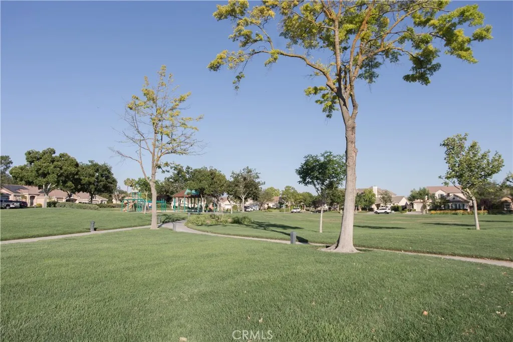 Neighborhood Park