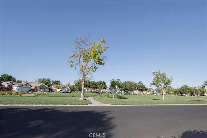 Neighborhood Park