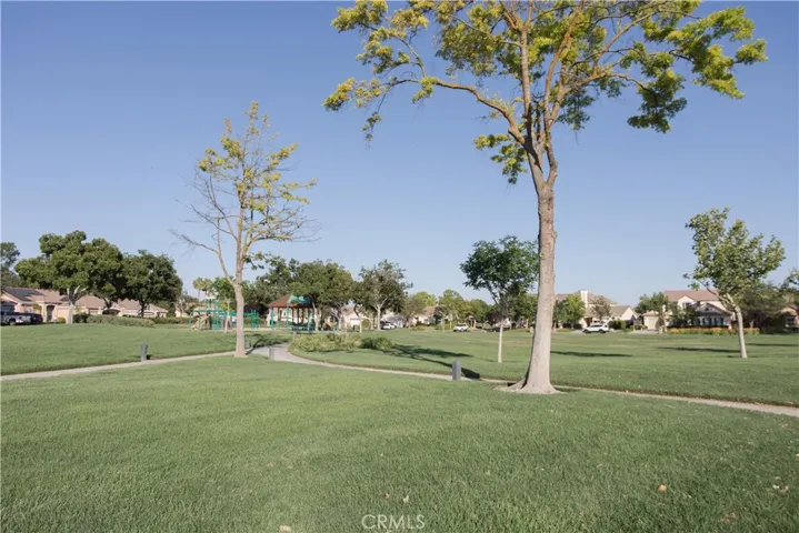 Neighborhood Park