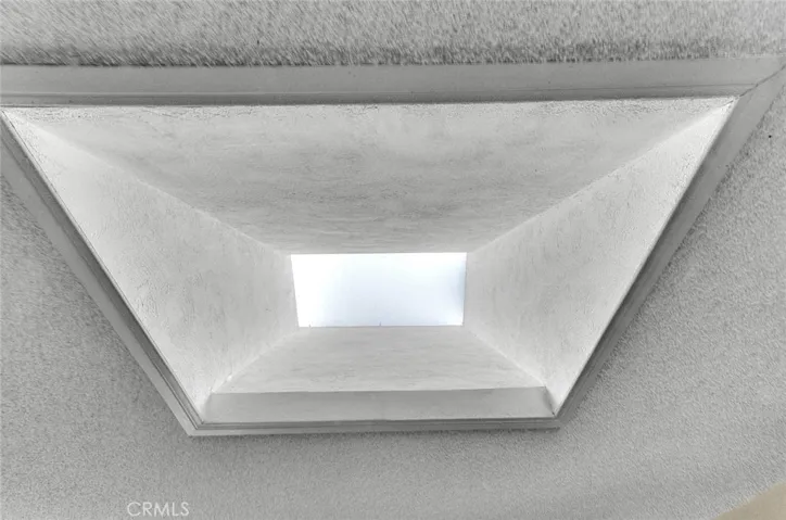 Living Room Skylight