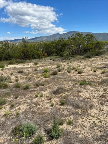 0 Scouts Lane, Anza, California 92539