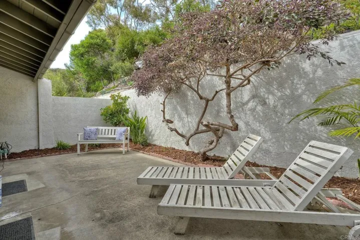 back yard