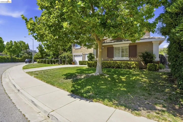 Two-story stucco residence featuring a dual garage, front yard with mature tree, and established perimeter hedging