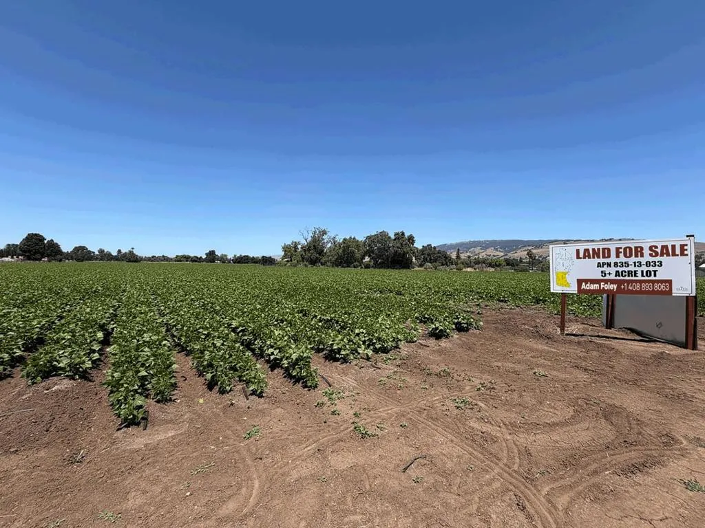 83513032 Buena Vista Ave, Gilroy, California 95020 — photo 4