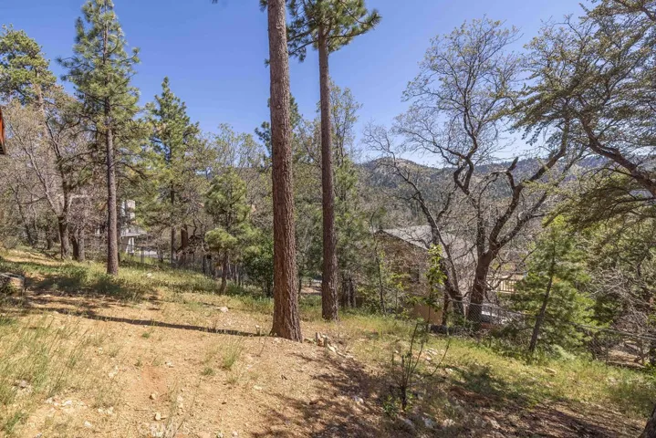 43855 Wolf, Big Bear Lake, California 92315