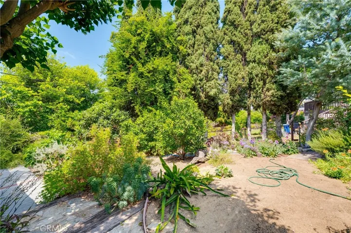Arboretum-like Backyard
