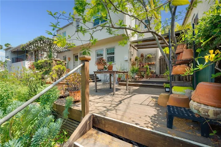 Arboretum-like Backyard